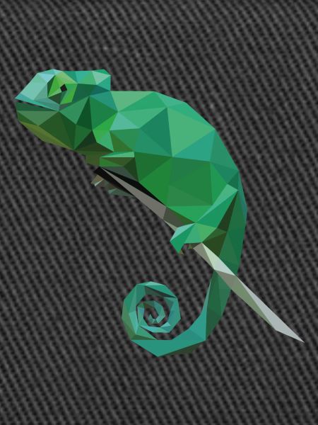 Chamäleon Chamaeleon Cham