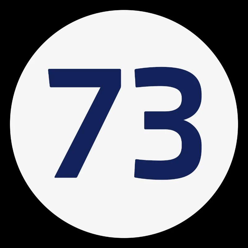 73, the best number Big Bang