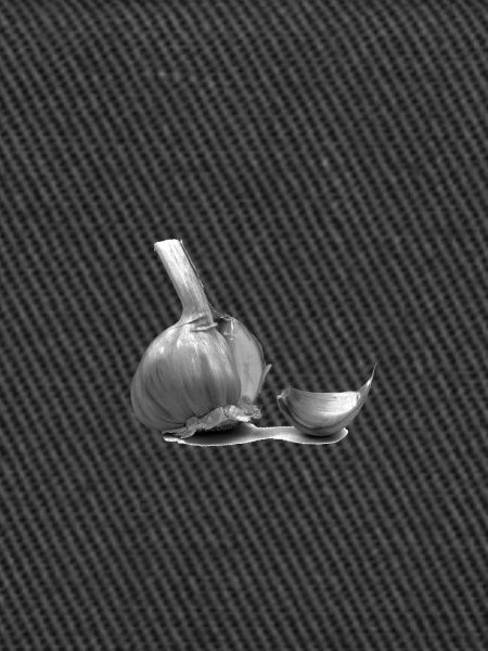 Knoblauch