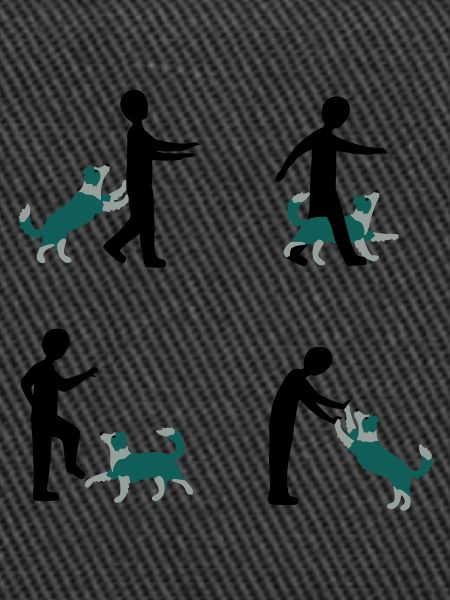 Dog Dancing 3-1