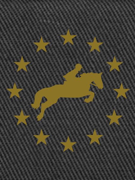 Springen Pferd & Sternen