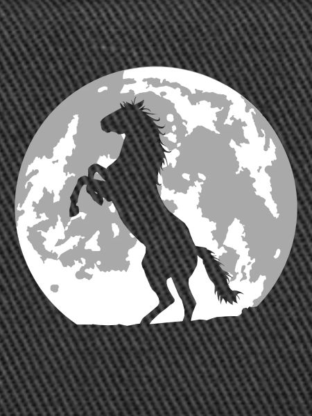 Pferd Vollmond