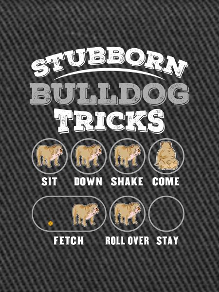 Hundetraining für Bulldogen