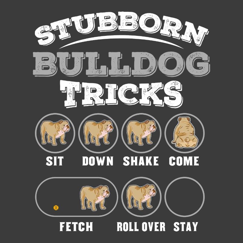 Dog training for bulldogen
