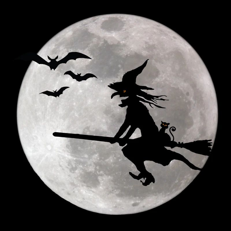Halloween sorcière avec un chat vole sur le ciel