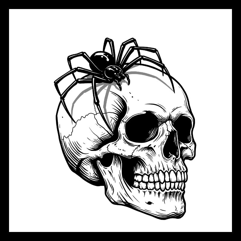 Totenkopf & Spinne - Wenn der Tod krabbelt