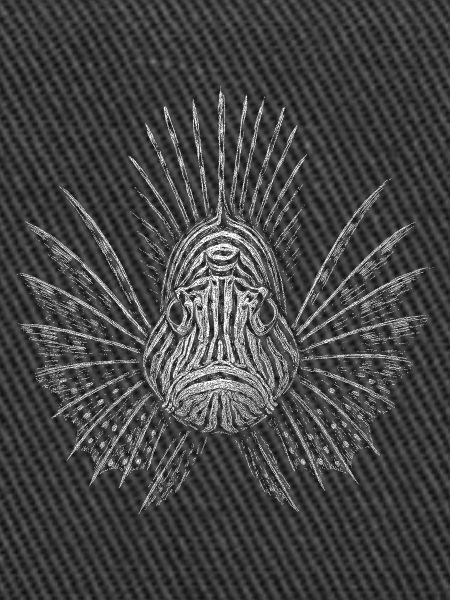 Lionfish