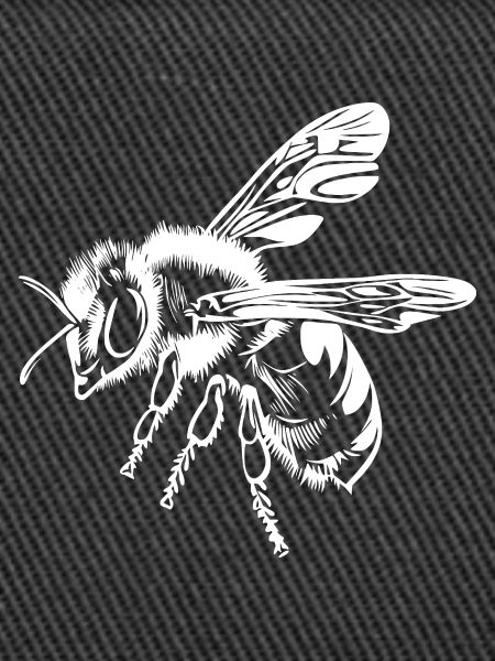 Bee Beekeeper Graphic