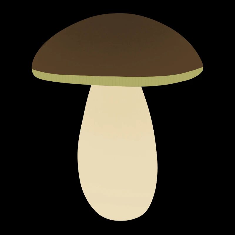 Cèpes