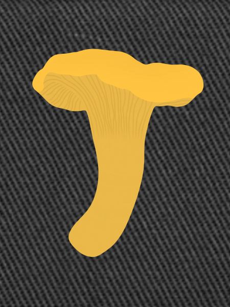Girolles