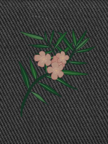 Oleander Flower Branch