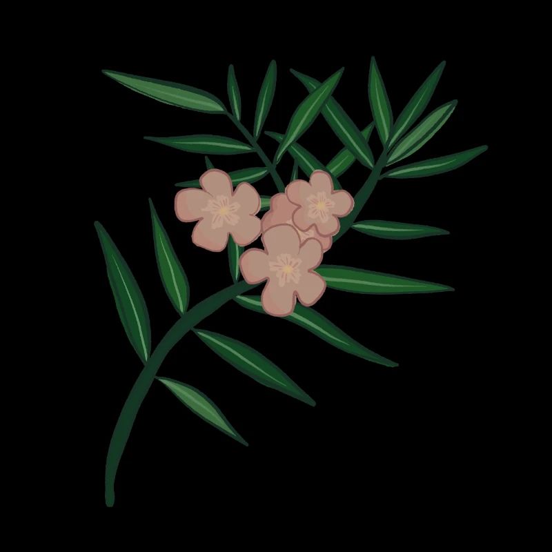 Oleander Flower Branch
