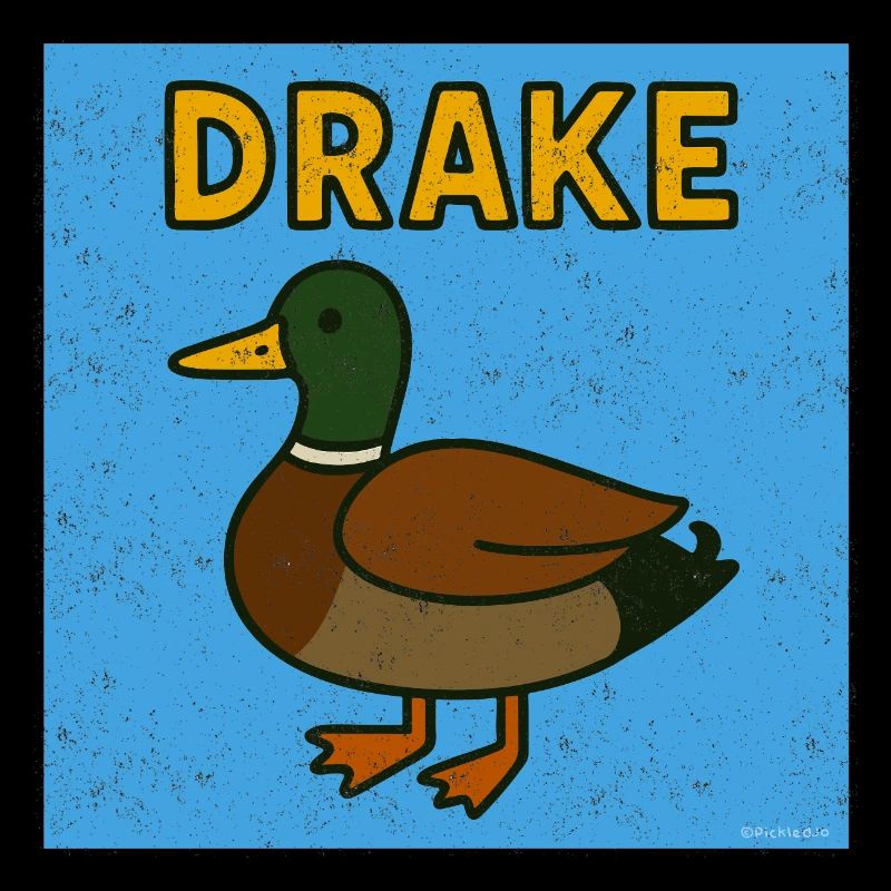 Dessin animé Dra-ke Duck