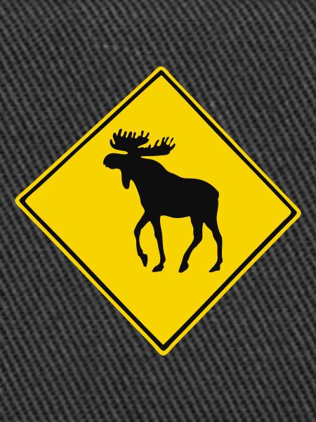 caribou