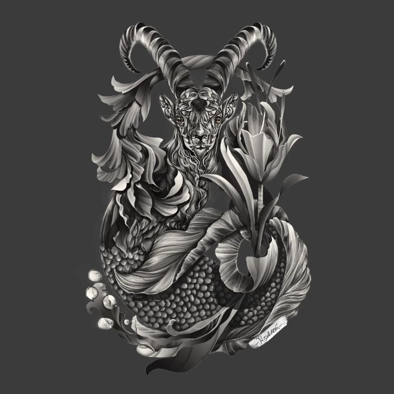 Steinbock Sternzeichen