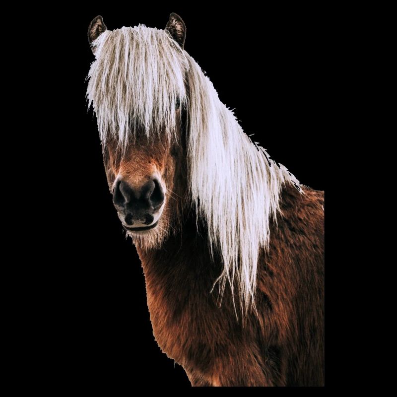 Cheval
