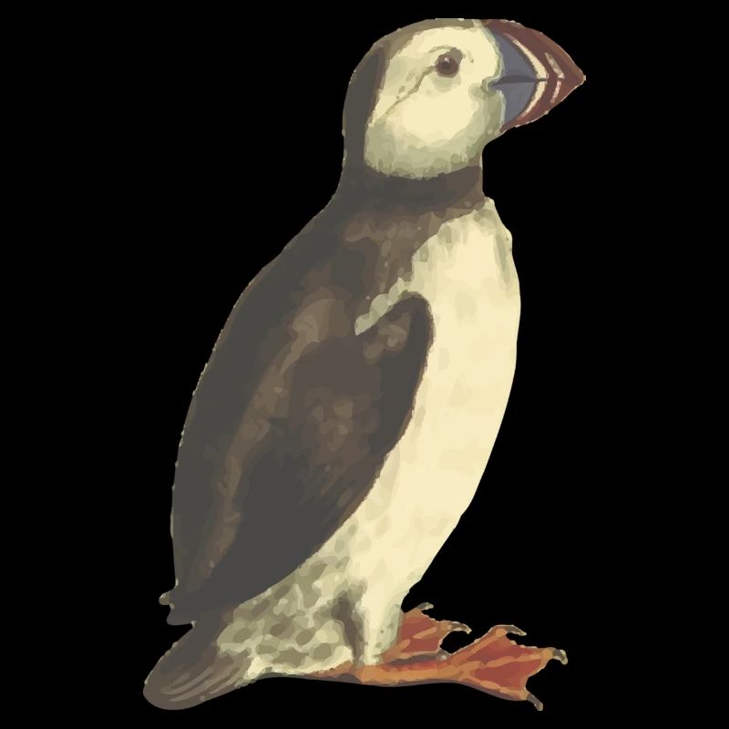 Papageientaucher