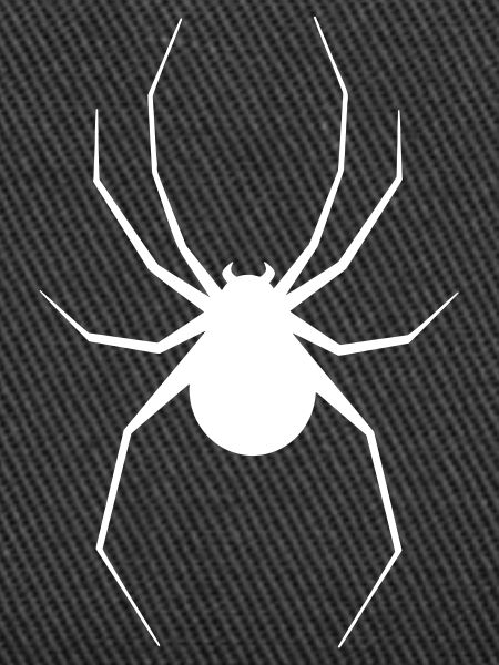 Spinne