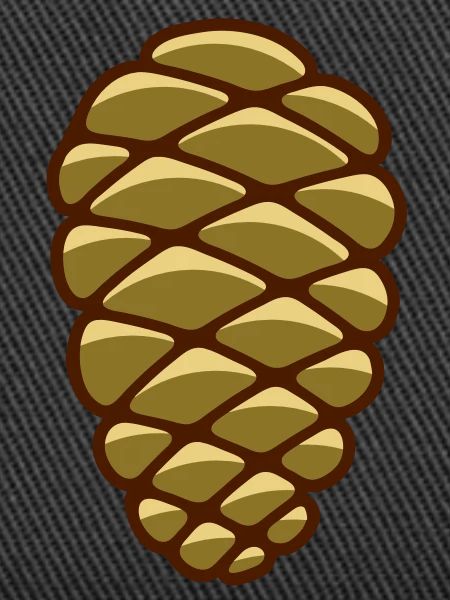 pine cone