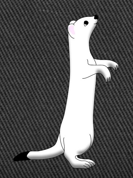 Ermine
