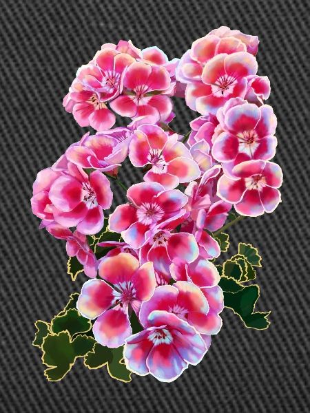 fleur