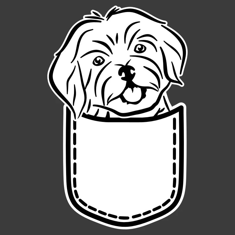 Havanese