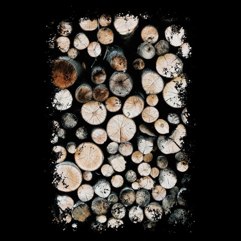 HOLZ