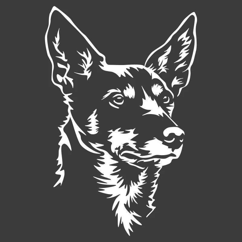 Australian Kelpie head "Black Edition"