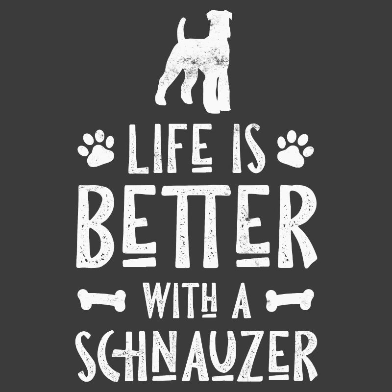 Hund Schnauzer