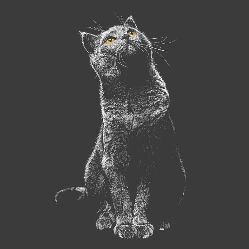 Chat