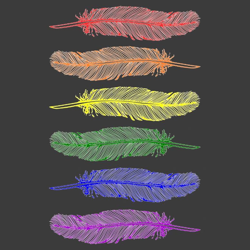Feathers Rainbow