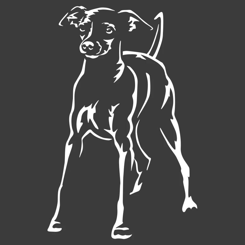 Dwarf Pinscher "Black Edition"