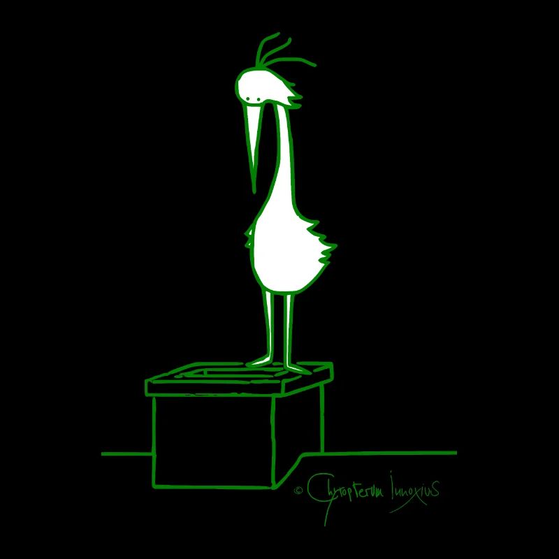 Dachvogel © Chyropterum Innoxius