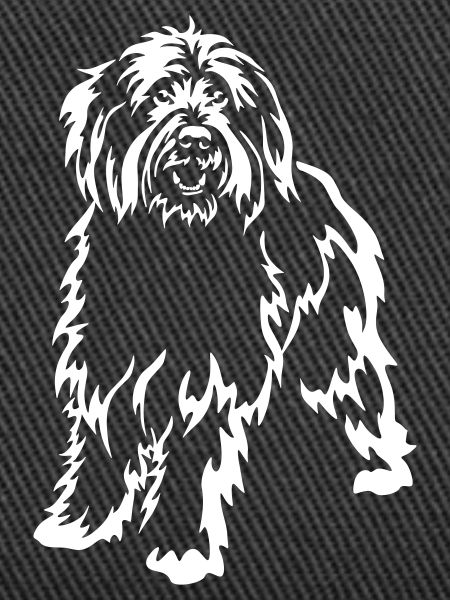 Sheep poodle "Black Edition"