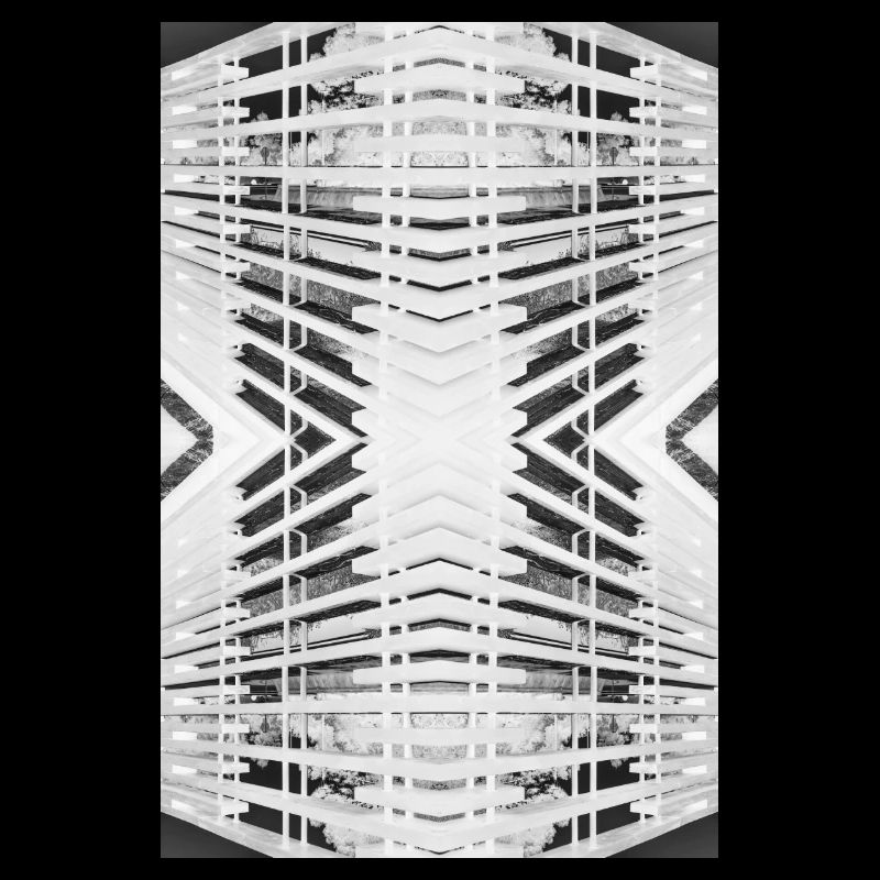 Bois abstrait V.2