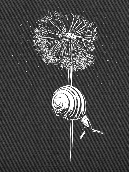 Dandelion Dandelion Snail