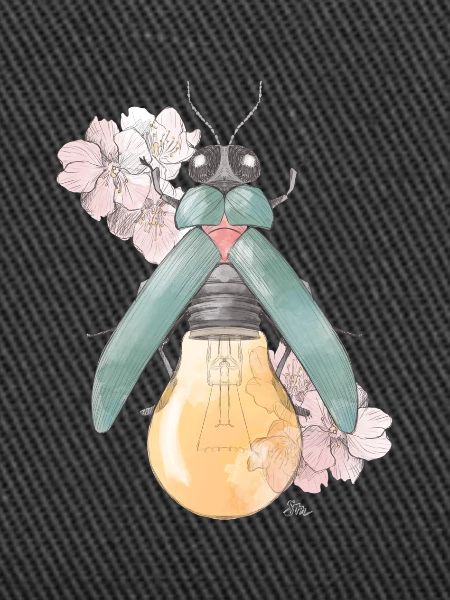 Pear | Flowering | Beetles