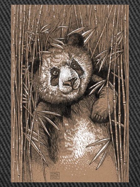 PANDA 02