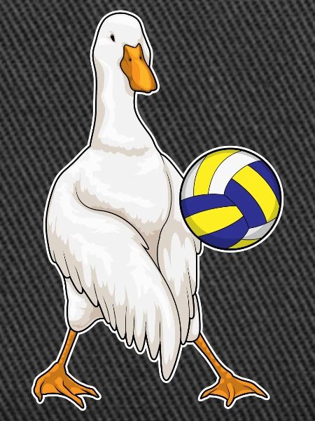 Duck Volleyball Player Volleyball