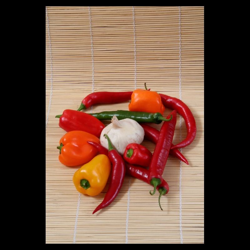 Ronde du CHILI