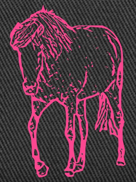 Cheval rose rose