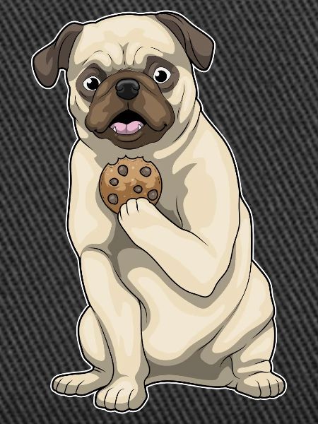 Pug Cookie