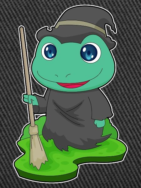 Frog Witch Broom