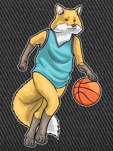 Fox Basketteur Basketteur
