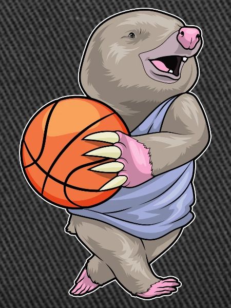 Taupe Basketteur Basketteur
