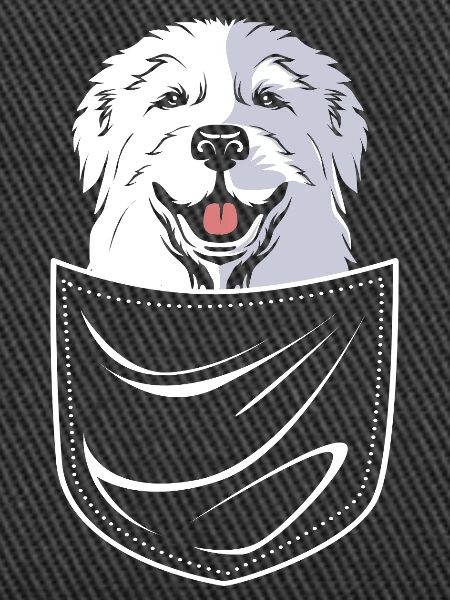 Pyrenean Dog