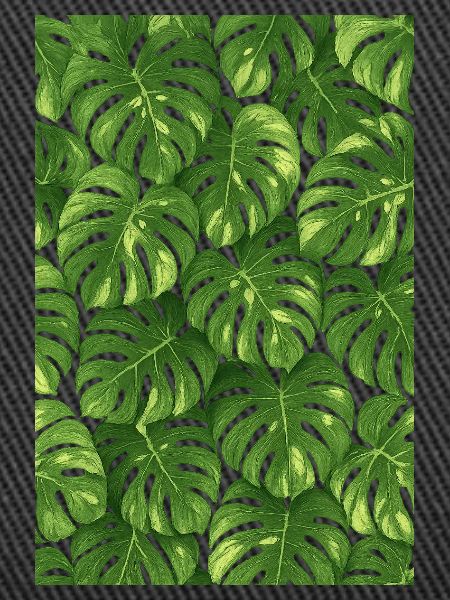 Monstera