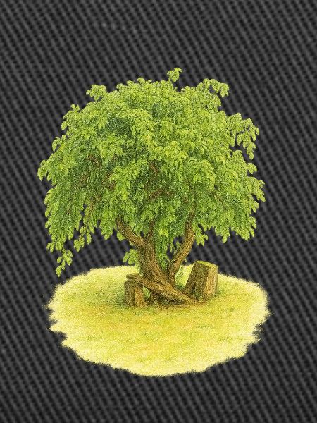 Tree of Life