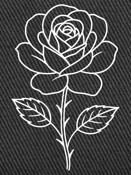 Rose Kontur