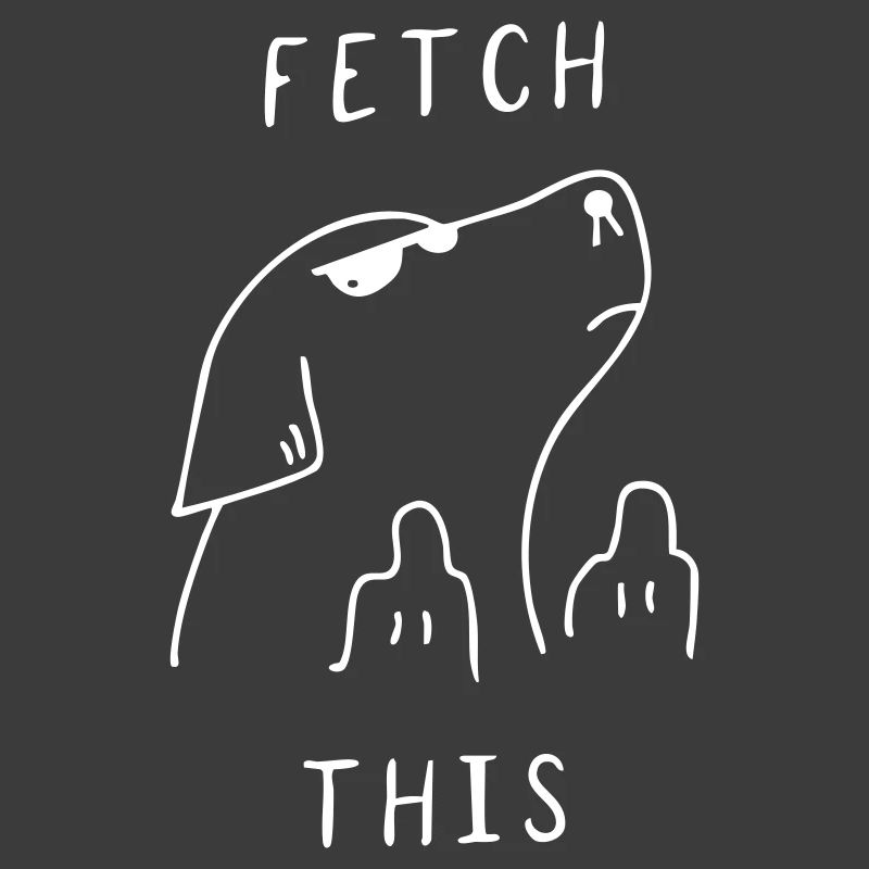 Fetch This | Funny Dog